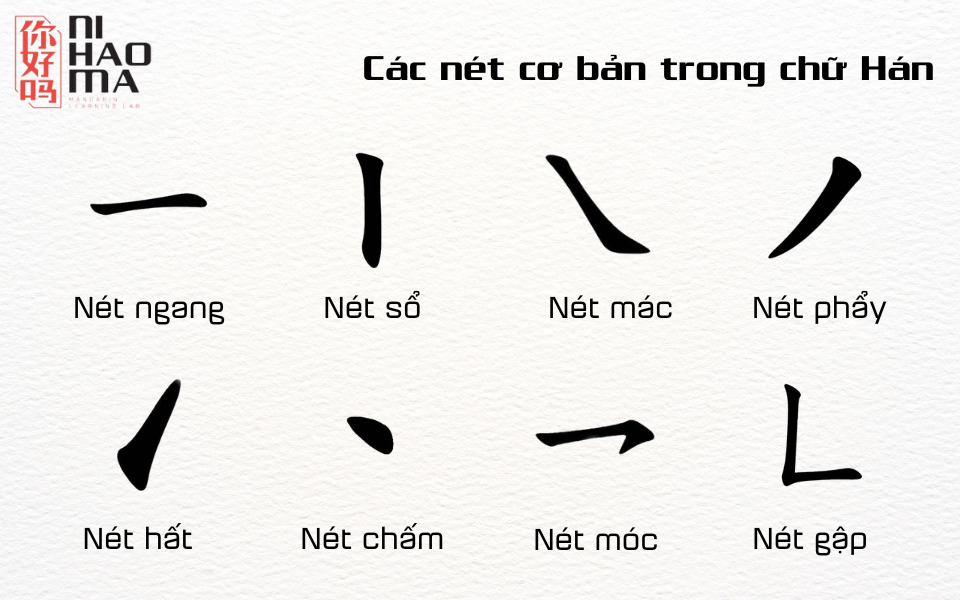 các nét cơ bản trong tiếng trung