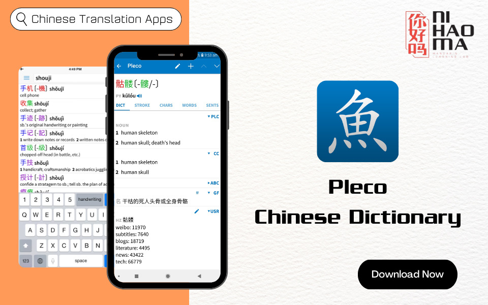 chinese translation app pleco