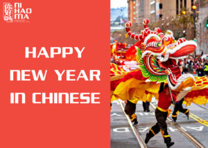 happy new year in chinese