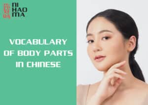 body parts in chinese