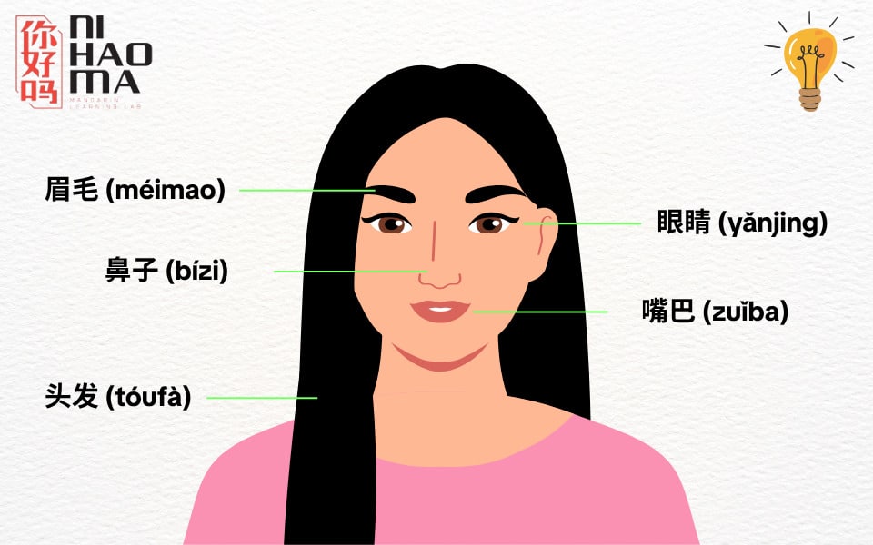các bộ phận trên cơ thể người bằng tiếng trung