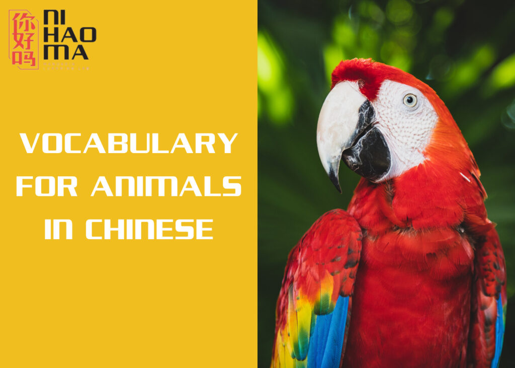 animals in chinese