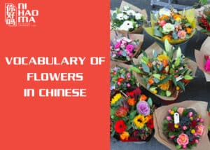 flowers in chinese mandarin