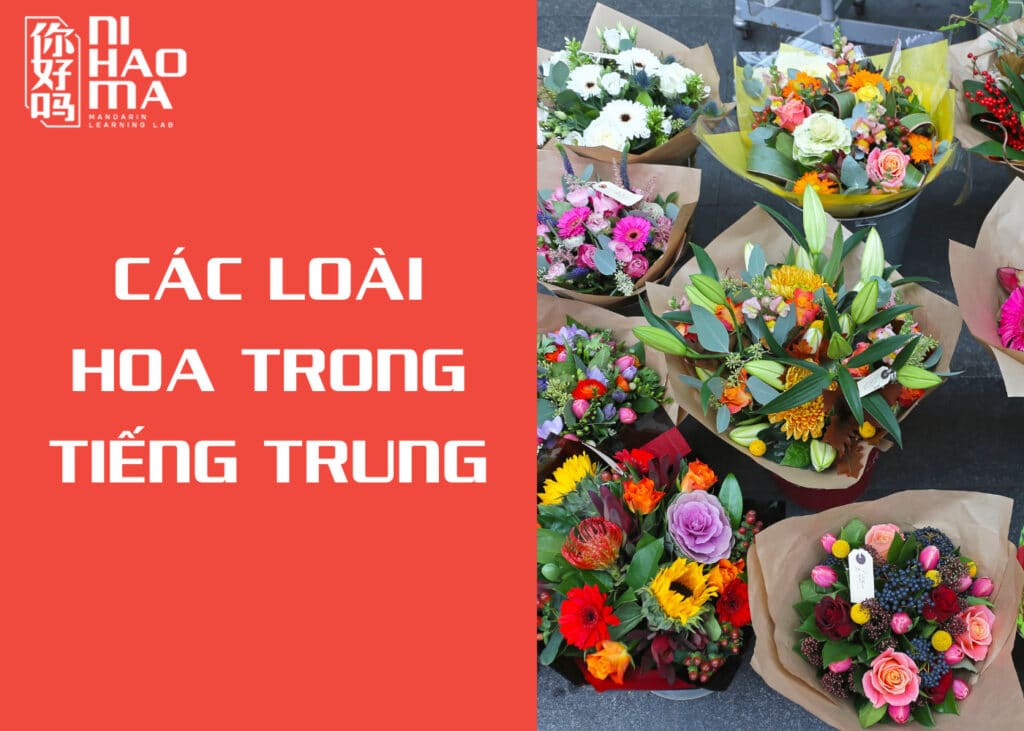 tên các loài hoa trong tiếng trung