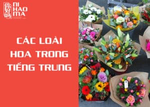 tên các loài hoa trong tiếng trung