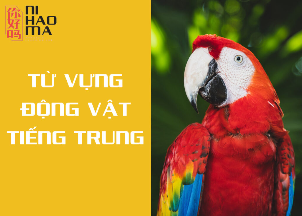 từ vựng động vật tiếng trung