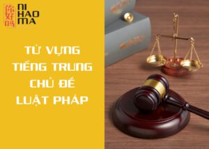 từ vựng tiếng trung chủ đề luật pháp