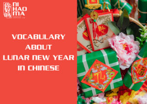 what is lunar new year in chinese