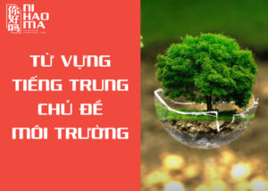 từ vựng tiếng trung chủ đề môi trường