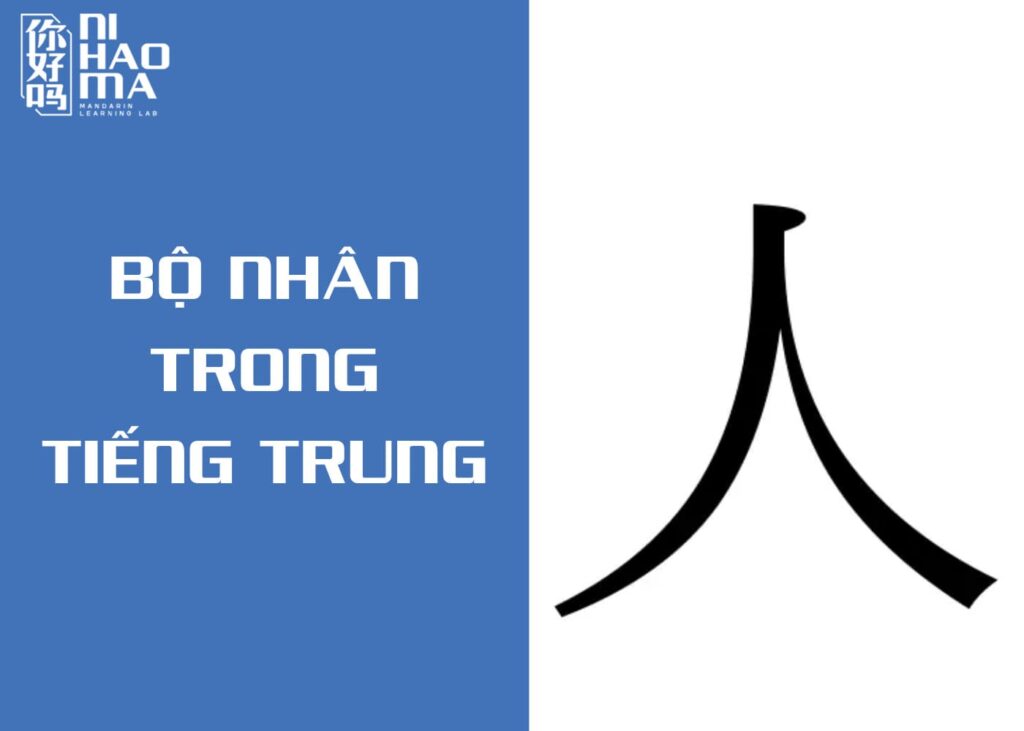 bộ nhân trong tiếng trung là gì