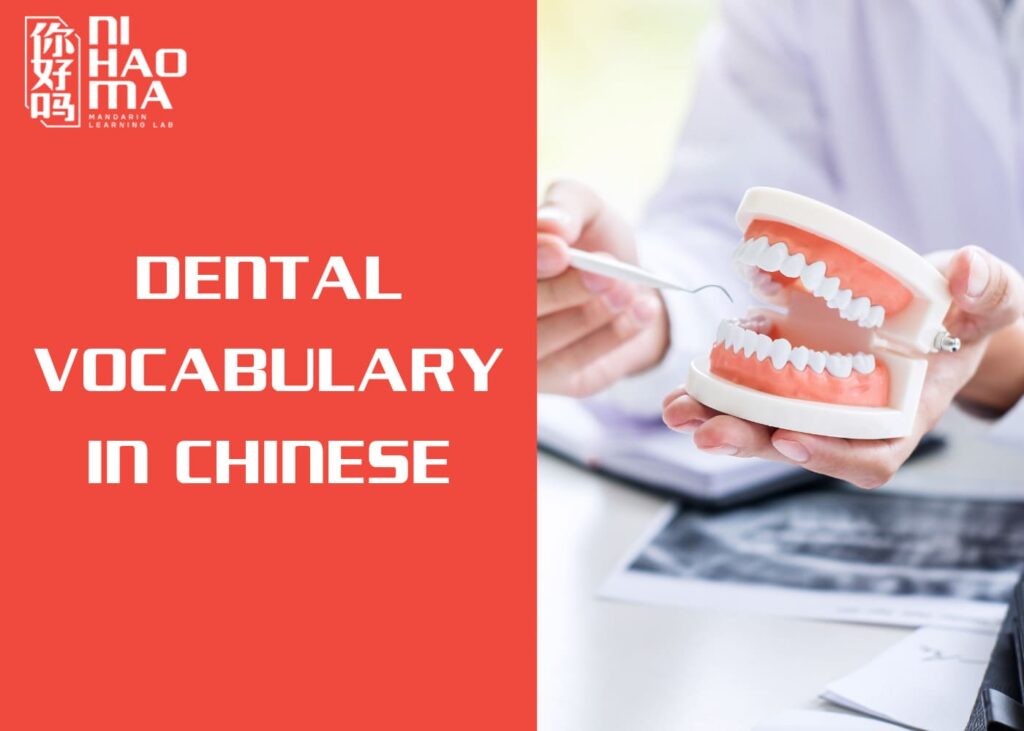 dental chinese