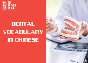 dental chinese