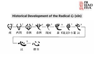 The Heart Radical in Chinese: Meaning, Stroke Order and Examples