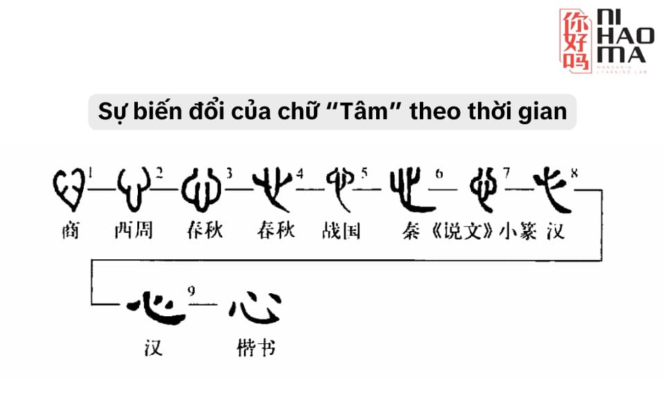 sự biến đổi của bộ tâm tiếng trung