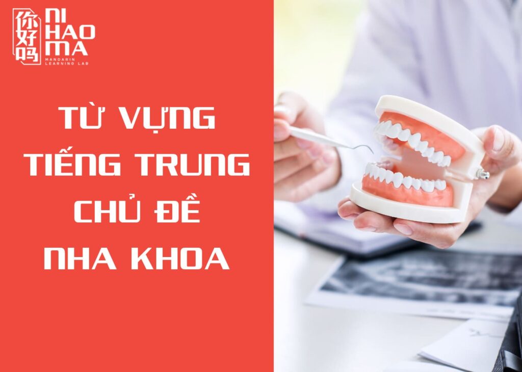 từ vựng chủ đề nha khoa tiếng trung