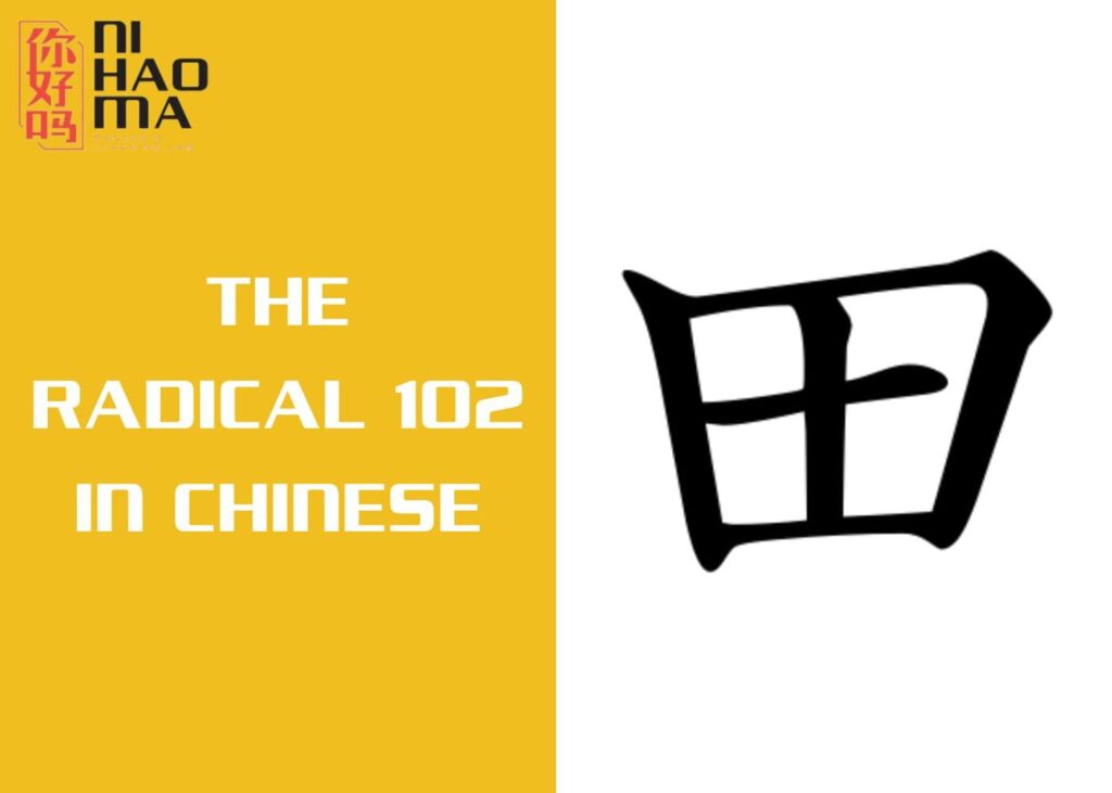 THE RADICAL 102 IN CHINESE