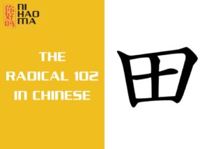 THE RADICAL 102 IN CHINESE