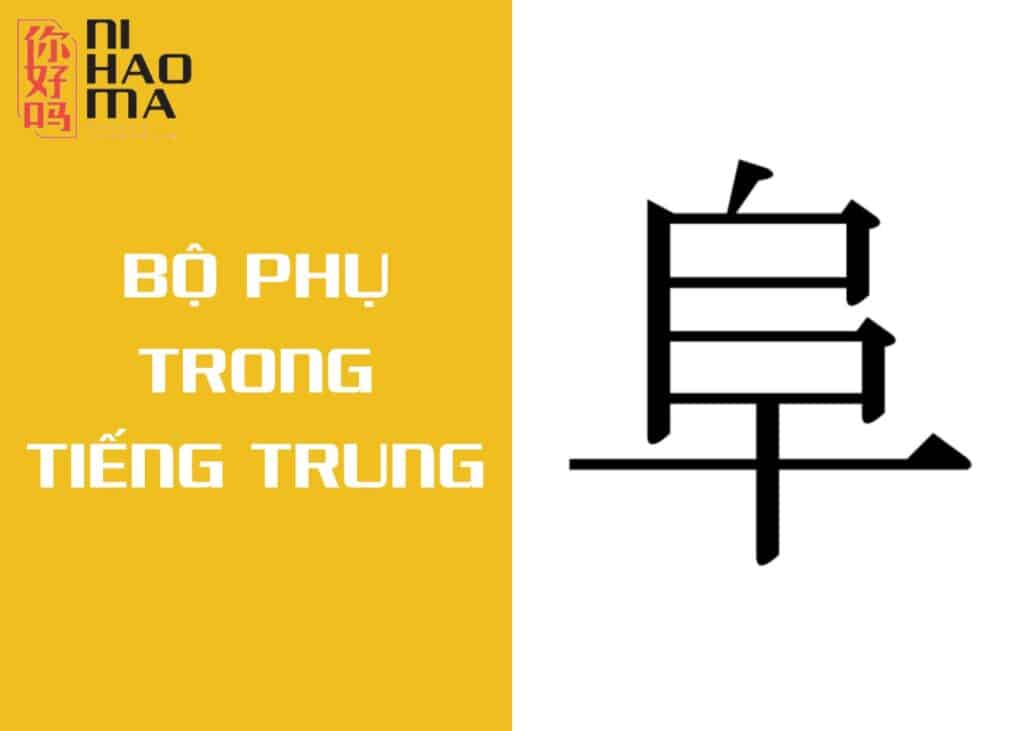bộ phụ trong tiếng trung là gì