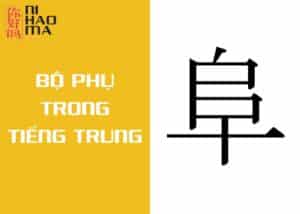 bộ phụ trong tiếng trung là gì