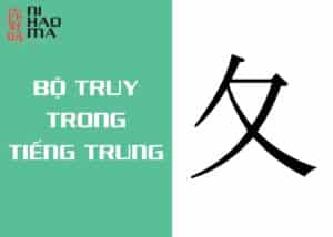bộ truy trong tiếng trung là gì