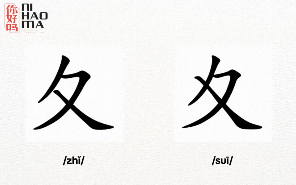 phân biệt bộ truy với bộ tuy