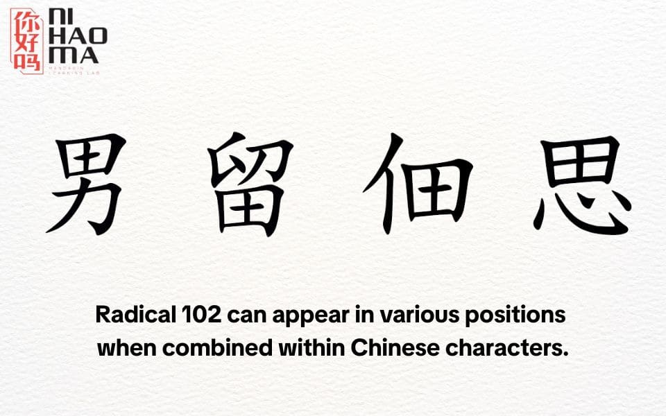 the radical 102 vocabulary