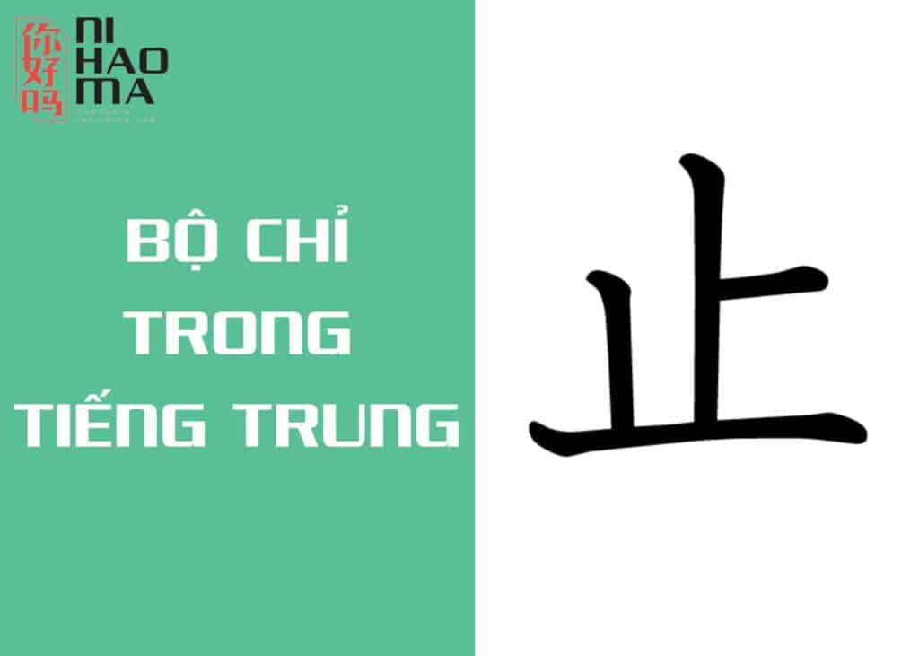 bộ chỉ trong tiếng trung