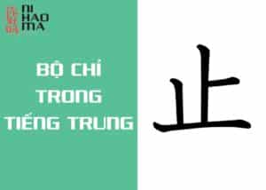 bộ chỉ trong tiếng trung