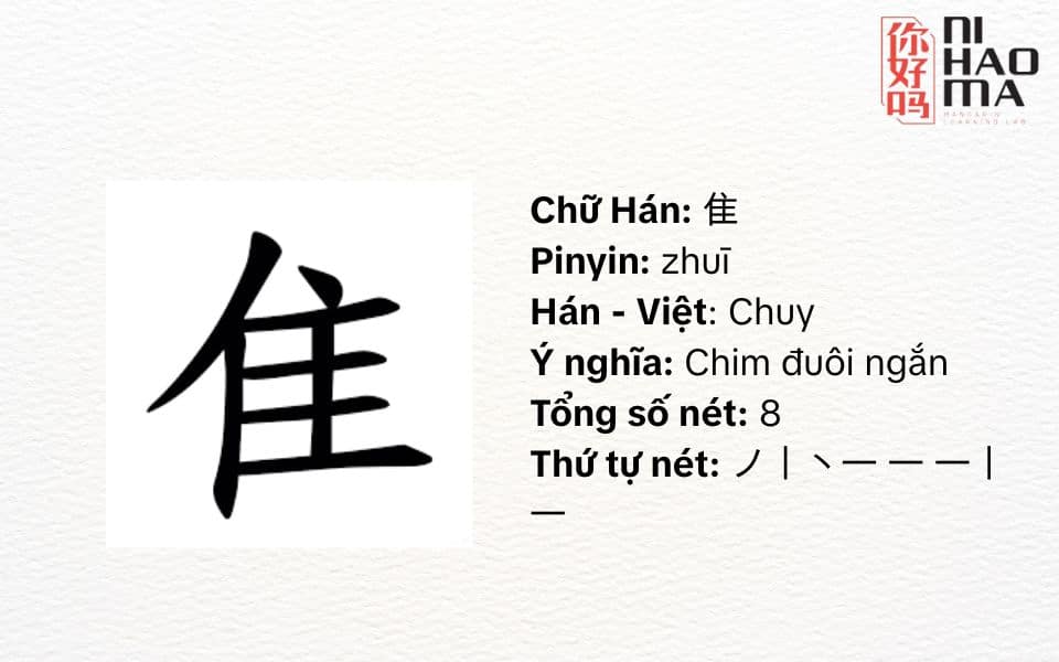 bộ chuy tiếng trung