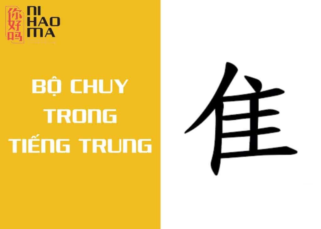 bộ chuy trong tiếng trung