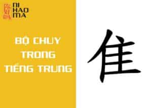 bộ chuy trong tiếng trung