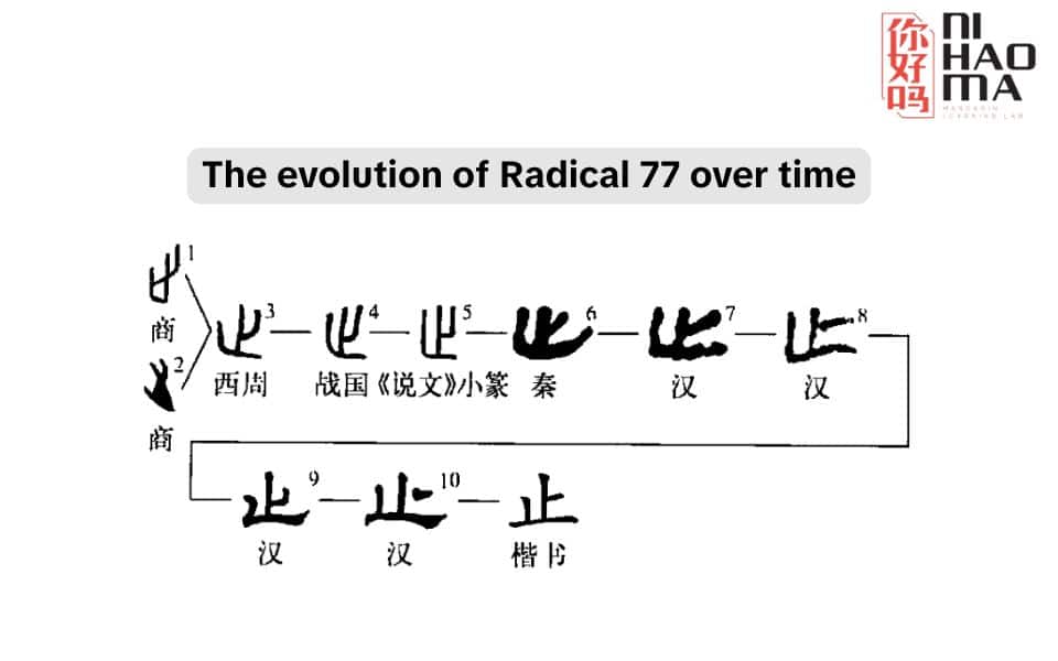the radical 77 over time