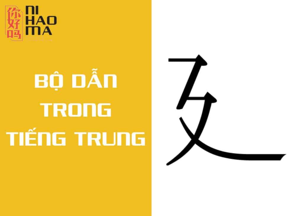 bộ dẫn trong tiếng trung