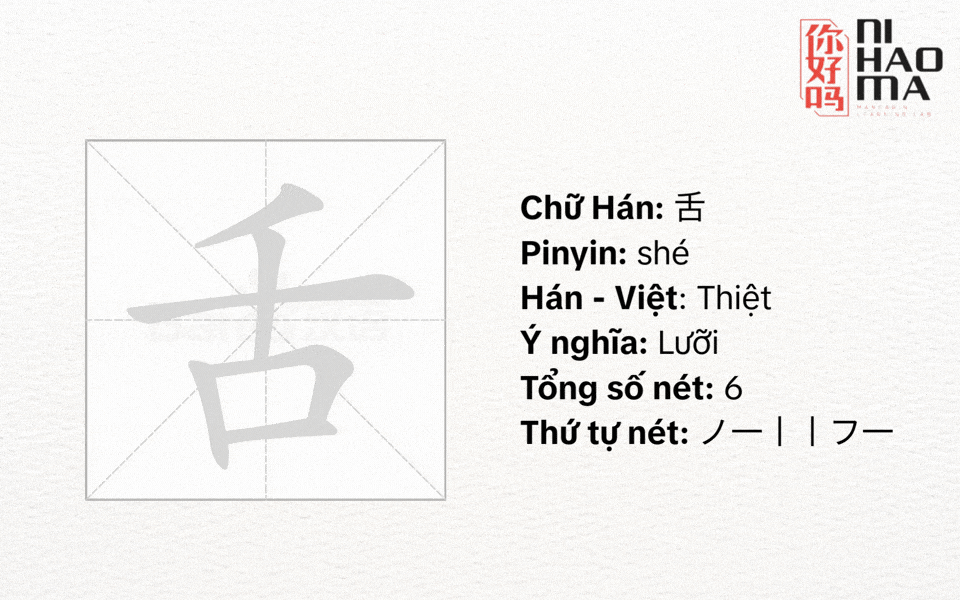 bộ thiệt tiếng trung là gì