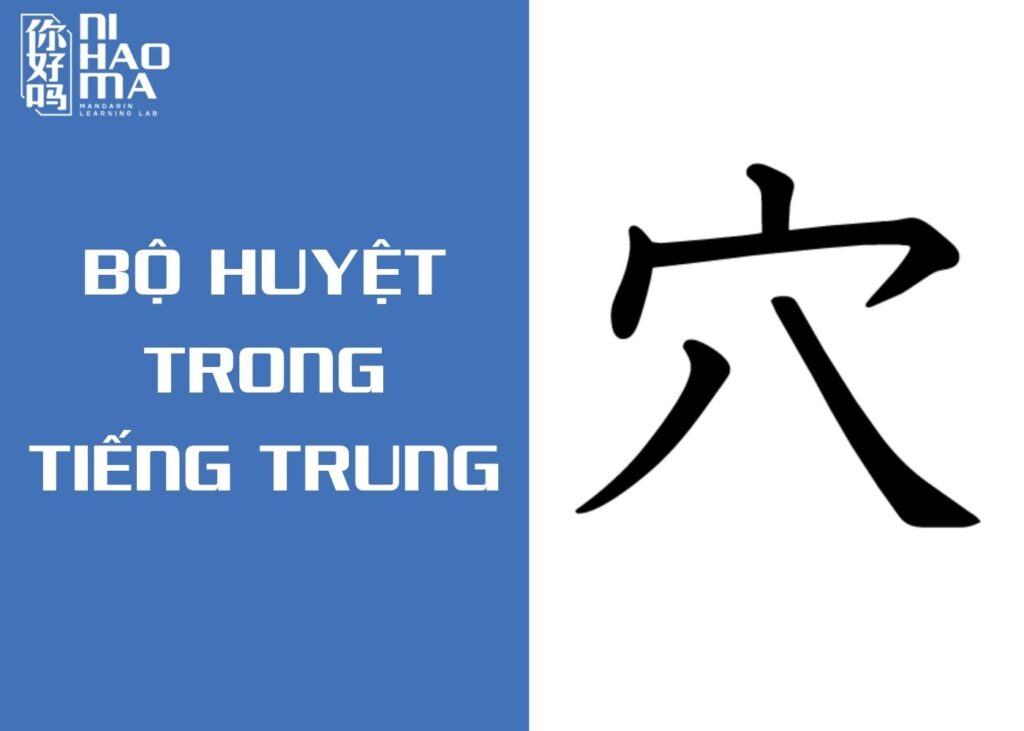 bộ huyệt trong tiếng trung