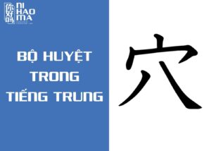bộ huyệt trong tiếng trung