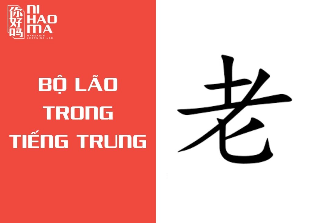 bộ lão trong tiếng trung
