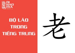 bộ lão trong tiếng trung