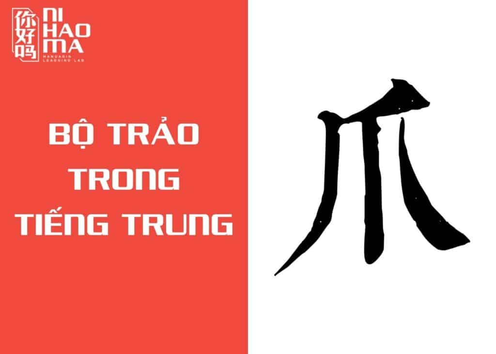 bộ trảo trong tiếng trung