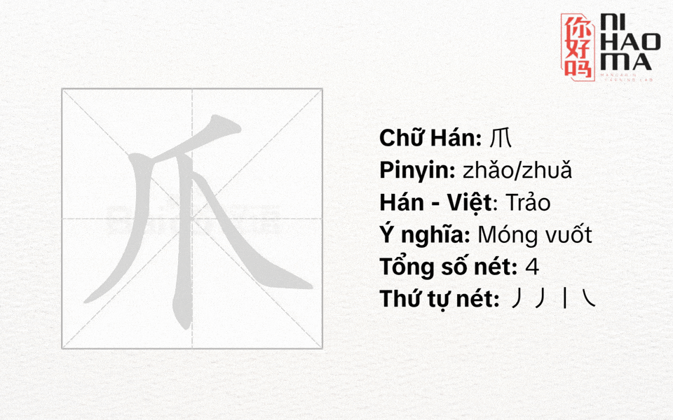 bộ trảo trong tiếng trung là gì