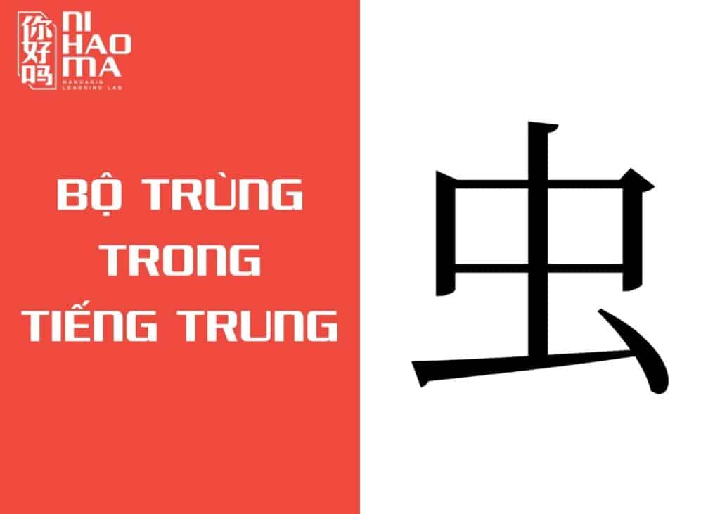 bộ trùng trong tiếng trung