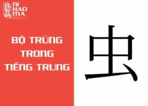 bộ trùng trong tiếng trung