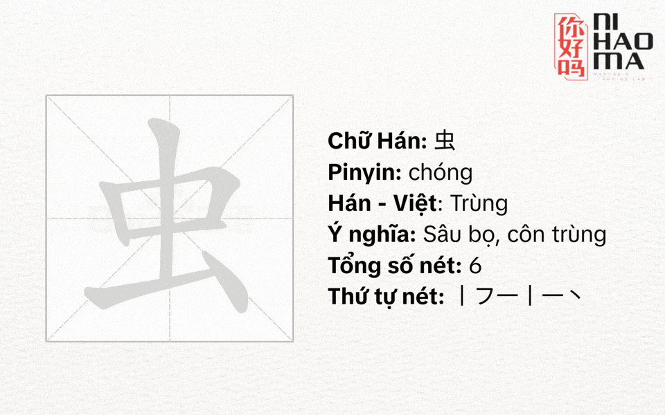 bộ trùng trong tiếng trung là gì