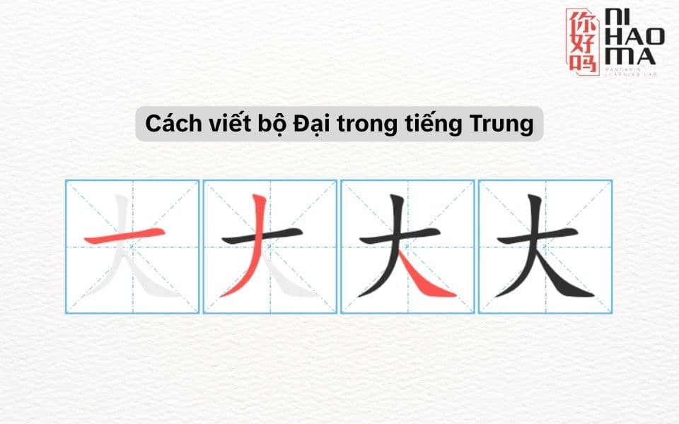 cách viết bộ đại trong tiếng trung