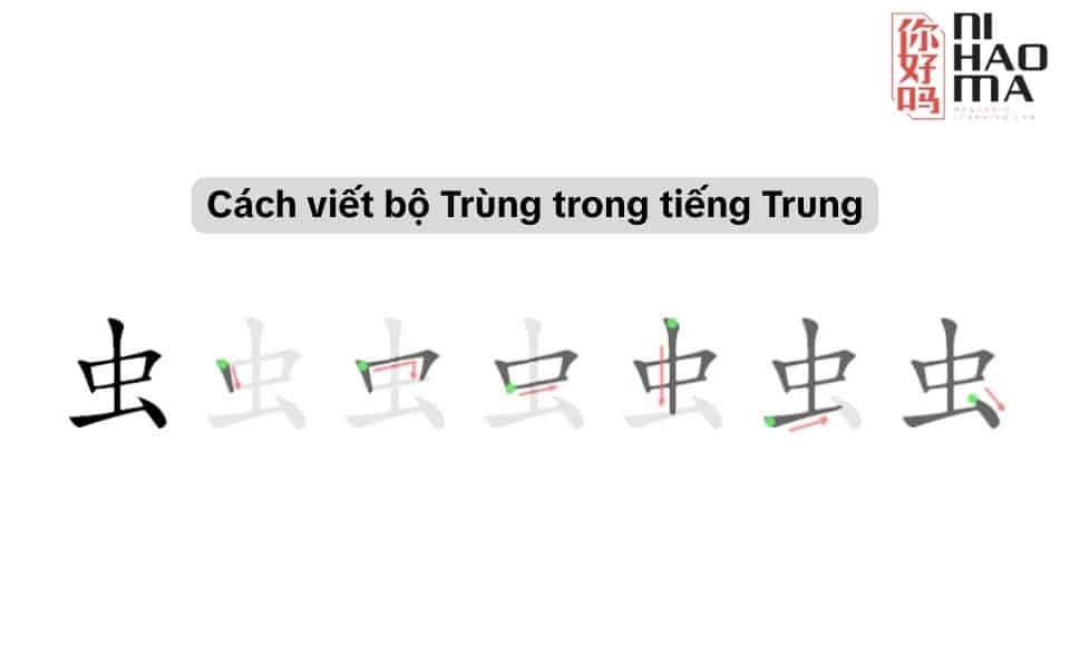 cách viết bộ tiết trong tiếng trung