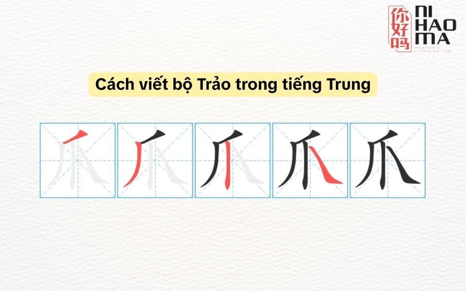 cách viết bộ trảo trong tiếng trung