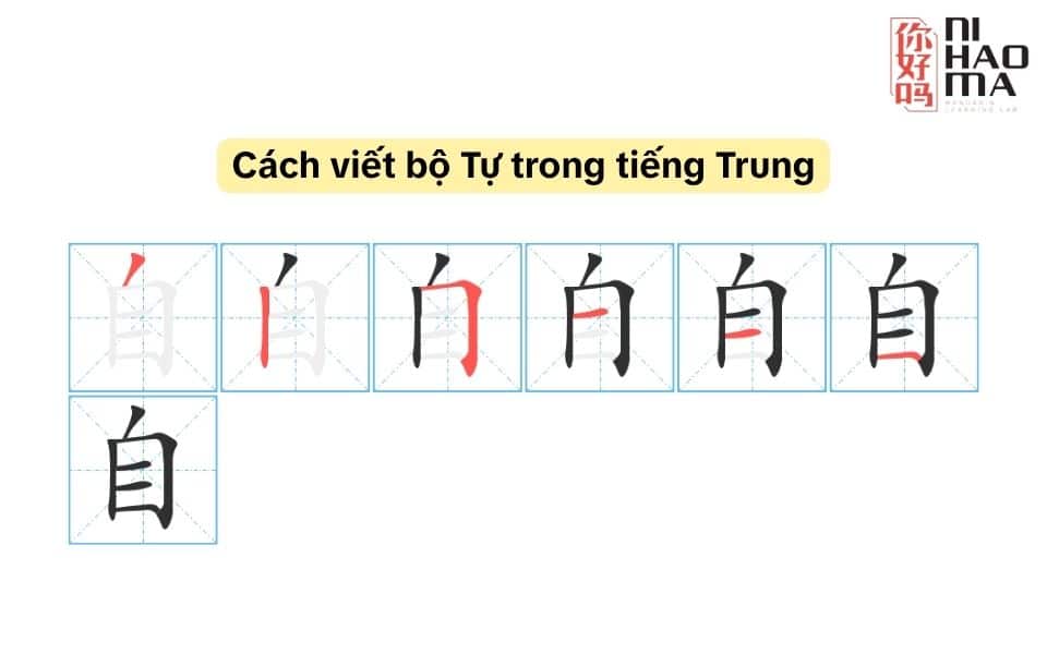 cách viết bộ tự trong tiếng trung