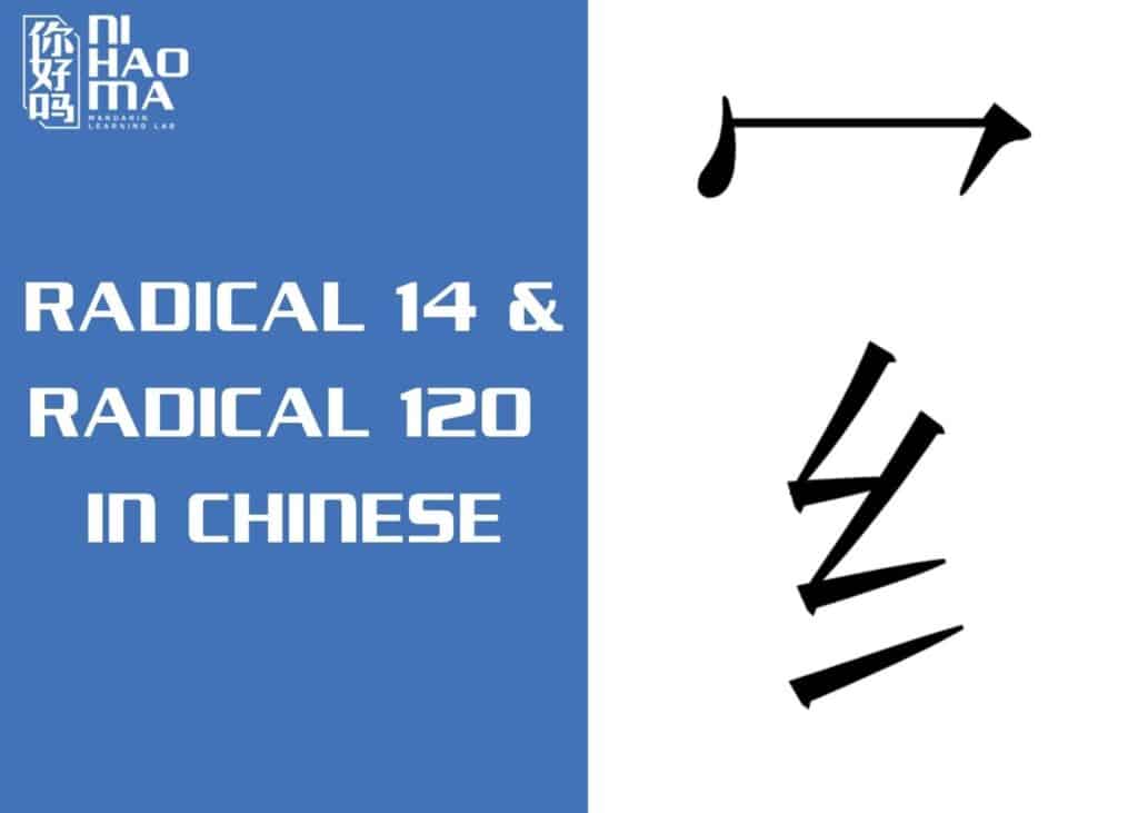 radical 14 and radical 120