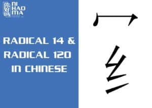 radical 14 and radical 120