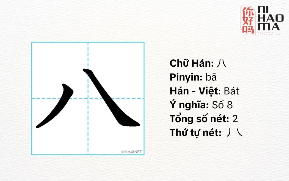 bộ bát trong tiếng trung là gì